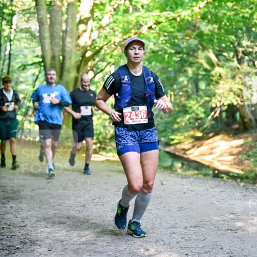 28.09.2025 - 33. Volkslauf durch das schöne Alstertal Dr. Thomas Lammeyer http://msf.ph/oto/8955487 28.09.2025 10:41:46 Laufen 2436 meine-sportfotos.de