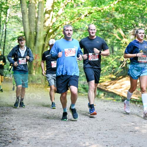 28.09.2025 - 33. Volkslauf durch das schöne Alstertal Dr. Thomas Lammeyer http://msf.ph/oto/8955499 28.09.2025 10:41:48 Laufen 2096, 20, 2042, 2045, 1068 meine-sportfotos.de