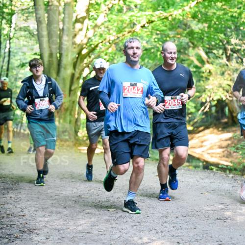 28.09.2025 - 33. Volkslauf durch das schöne Alstertal Dr. Thomas Lammeyer http://msf.ph/oto/8955501 28.09.2025 10:41:48 Laufen 2096, 2042, 2045, 1068 meine-sportfotos.de