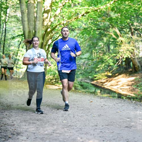 28.09.2025 - 33. Volkslauf durch das schöne Alstertal Dr. Thomas Lammeyer http://msf.ph/oto/8955564 28.09.2025 10:42:00 Laufen 291 meine-sportfotos.de