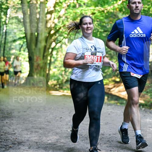 28.09.2025 - 33. Volkslauf durch das schöne Alstertal Dr. Thomas Lammeyer http://msf.ph/oto/8955575 28.09.2025 10:42:01 Laufen 2391 meine-sportfotos.de
