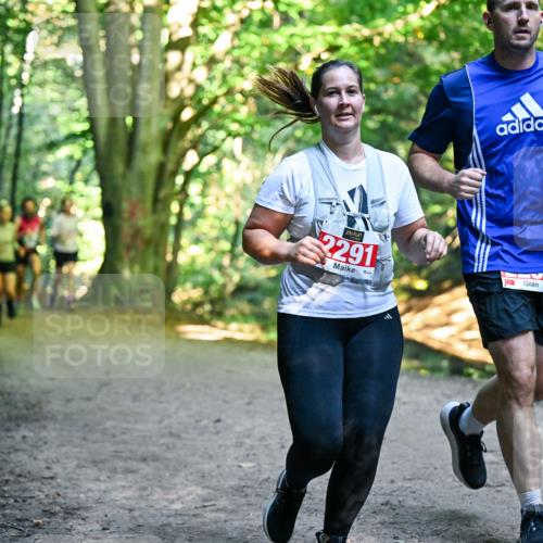 28.09.2025 - 33. Volkslauf durch das schöne Alstertal Dr. Thomas Lammeyer http://msf.ph/oto/8955576 28.09.2025 10:42:01 Laufen 2291 meine-sportfotos.de