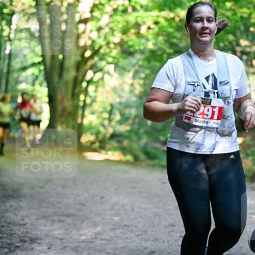 28.09.2025 - 33. Volkslauf durch das schöne Alstertal Dr. Thomas Lammeyer http://msf.ph/oto/8955580 28.09.2025 10:42:02 Laufen 291 meine-sportfotos.de