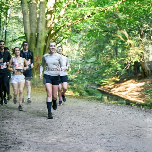 28.09.2025 - 33. Volkslauf durch das schöne Alstertal Dr. Thomas Lammeyer http://msf.ph/oto/8955594 28.09.2025 10:42:05 Laufen 232, 2104 meine-sportfotos.de