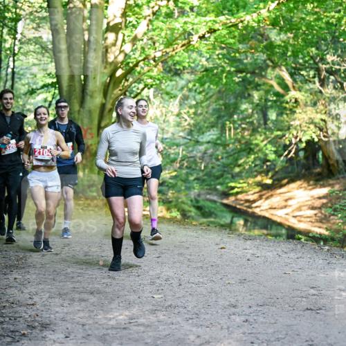 28.09.2025 - 33. Volkslauf durch das schöne Alstertal Dr. Thomas Lammeyer http://msf.ph/oto/8955596 28.09.2025 10:42:06 Laufen 2104 meine-sportfotos.de