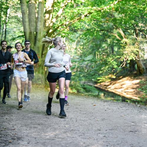 28.09.2025 - 33. Volkslauf durch das schöne Alstertal Dr. Thomas Lammeyer http://msf.ph/oto/8955597 28.09.2025 10:42:06 Laufen  meine-sportfotos.de