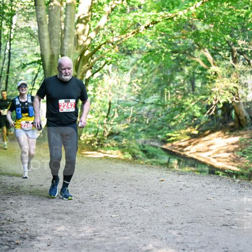 28.09.2025 - 33. Volkslauf durch das schöne Alstertal Dr. Thomas Lammeyer http://msf.ph/oto/8955629 28.09.2025 10:42:10 Laufen 2246, 2242 meine-sportfotos.de