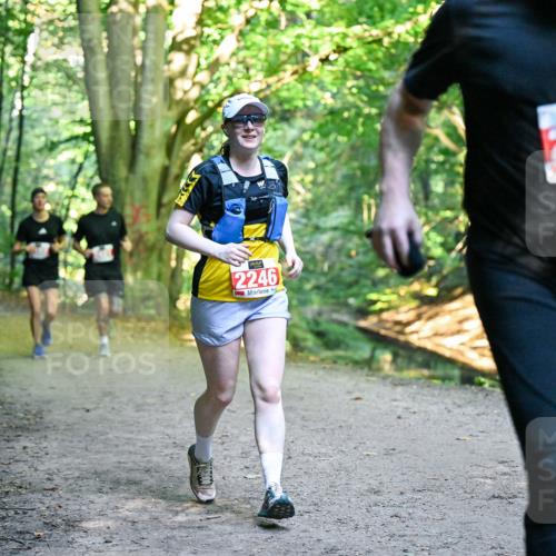 28.09.2025 - 33. Volkslauf durch das schöne Alstertal Dr. Thomas Lammeyer http://msf.ph/oto/8955645 28.09.2025 10:42:13 Laufen 2246, 2242 meine-sportfotos.de