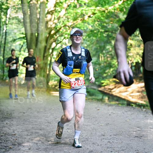 28.09.2025 - 33. Volkslauf durch das schöne Alstertal Dr. Thomas Lammeyer http://msf.ph/oto/8955646 28.09.2025 10:42:13 Laufen 2246, 2242 meine-sportfotos.de