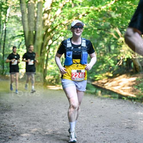 28.09.2025 - 33. Volkslauf durch das schöne Alstertal Dr. Thomas Lammeyer http://msf.ph/oto/8955647 28.09.2025 10:42:13 Laufen 2246 meine-sportfotos.de