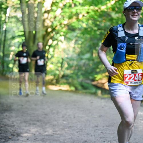 28.09.2025 - 33. Volkslauf durch das schöne Alstertal Dr. Thomas Lammeyer http://msf.ph/oto/8955653 28.09.2025 10:42:14 Laufen 2246 meine-sportfotos.de