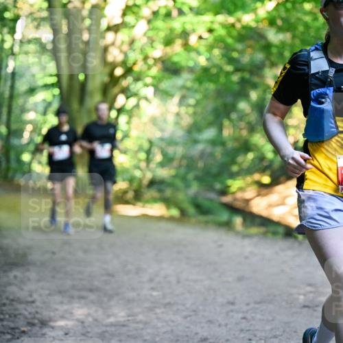 28.09.2025 - 33. Volkslauf durch das schöne Alstertal Dr. Thomas Lammeyer http://msf.ph/oto/8955654 28.09.2025 10:42:14 Laufen 2246 meine-sportfotos.de