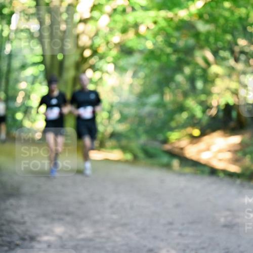 28.09.2025 - 33. Volkslauf durch das schöne Alstertal Dr. Thomas Lammeyer http://msf.ph/oto/8955657 28.09.2025 10:42:14 Laufen  meine-sportfotos.de