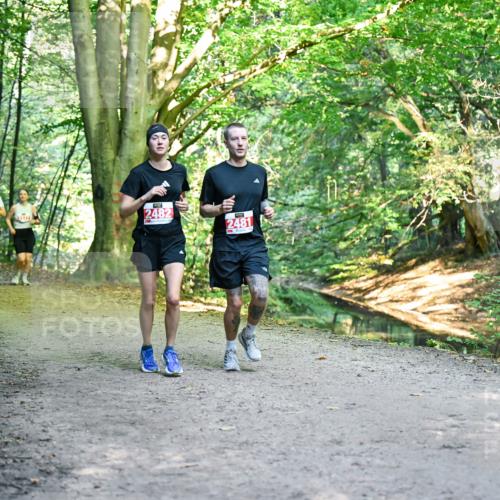 28.09.2025 - 33. Volkslauf durch das schöne Alstertal Dr. Thomas Lammeyer http://msf.ph/oto/8955661 28.09.2025 10:42:15 Laufen 2482, 2481 meine-sportfotos.de