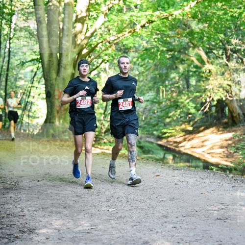 28.09.2025 - 33. Volkslauf durch das schöne Alstertal Dr. Thomas Lammeyer http://msf.ph/oto/8955662 28.09.2025 10:42:15 Laufen 2482, 2481 meine-sportfotos.de