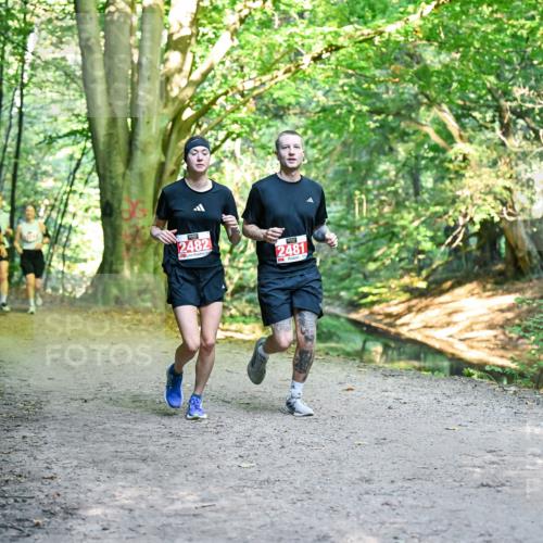 28.09.2025 - 33. Volkslauf durch das schöne Alstertal Dr. Thomas Lammeyer http://msf.ph/oto/8955663 28.09.2025 10:42:15 Laufen 2482, 2481 meine-sportfotos.de