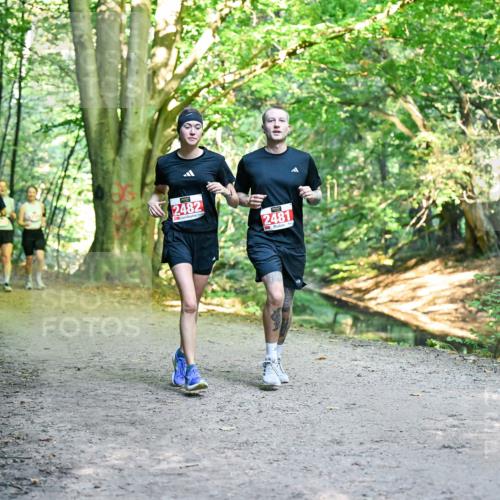 28.09.2025 - 33. Volkslauf durch das schöne Alstertal Dr. Thomas Lammeyer http://msf.ph/oto/8955664 28.09.2025 10:42:15 Laufen 2482, 2481 meine-sportfotos.de