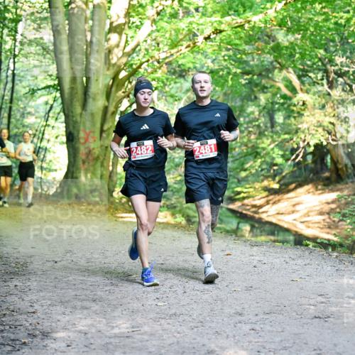 28.09.2025 - 33. Volkslauf durch das schöne Alstertal Dr. Thomas Lammeyer http://msf.ph/oto/8955665 28.09.2025 10:42:16 Laufen 2482, 2481 meine-sportfotos.de