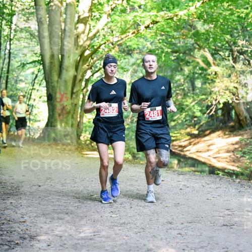 28.09.2025 - 33. Volkslauf durch das schöne Alstertal Dr. Thomas Lammeyer http://msf.ph/oto/8955666 28.09.2025 10:42:16 Laufen 2482, 2481 meine-sportfotos.de