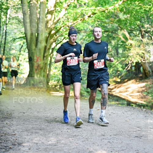 28.09.2025 - 33. Volkslauf durch das schöne Alstertal Dr. Thomas Lammeyer http://msf.ph/oto/8955667 28.09.2025 10:42:16 Laufen 2482, 2481 meine-sportfotos.de