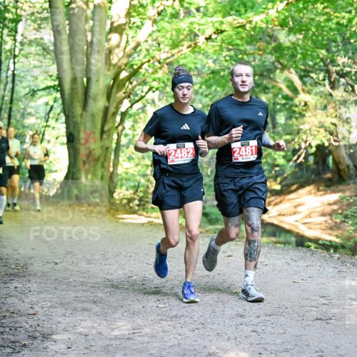 28.09.2025 - 33. Volkslauf durch das schöne Alstertal Dr. Thomas Lammeyer http://msf.ph/oto/8955668 28.09.2025 10:42:16 Laufen 2482, 2481 meine-sportfotos.de