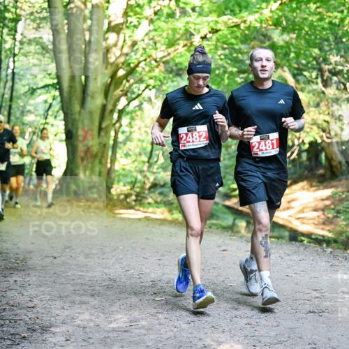 28.09.2025 - 33. Volkslauf durch das schöne Alstertal Dr. Thomas Lammeyer http://msf.ph/oto/8955671 28.09.2025 10:42:16 Laufen 2482, 2481 meine-sportfotos.de