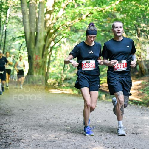 28.09.2025 - 33. Volkslauf durch das schöne Alstertal Dr. Thomas Lammeyer http://msf.ph/oto/8955672 28.09.2025 10:42:16 Laufen 2482, 2481 meine-sportfotos.de