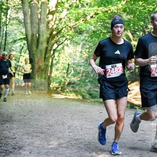 28.09.2025 - 33. Volkslauf durch das schöne Alstertal Dr. Thomas Lammeyer http://msf.ph/oto/8955675 28.09.2025 10:42:17 Laufen 2482, 2481 meine-sportfotos.de