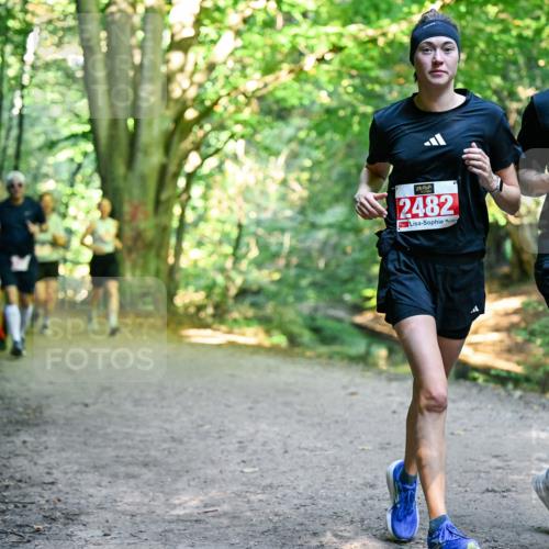 28.09.2025 - 33. Volkslauf durch das schöne Alstertal Dr. Thomas Lammeyer http://msf.ph/oto/8955676 28.09.2025 10:42:17 Laufen 2482, 2481 meine-sportfotos.de