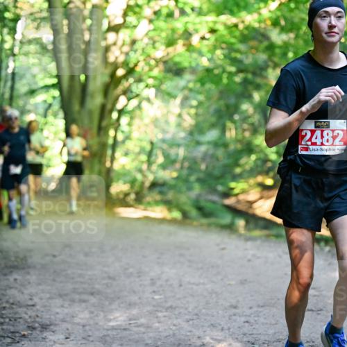 28.09.2025 - 33. Volkslauf durch das schöne Alstertal Dr. Thomas Lammeyer http://msf.ph/oto/8955678 28.09.2025 10:42:17 Laufen 2482 meine-sportfotos.de