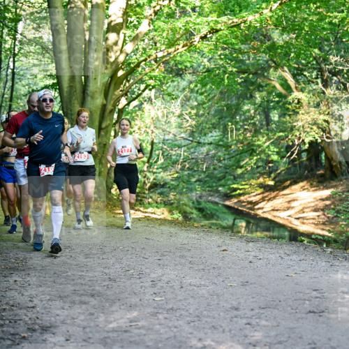 28.09.2025 - 33. Volkslauf durch das schöne Alstertal Dr. Thomas Lammeyer http://msf.ph/oto/8955681 28.09.2025 10:42:19 Laufen 2177 meine-sportfotos.de