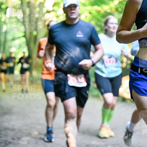 28.09.2025 - 33. Volkslauf durch das schöne Alstertal Dr. Thomas Lammeyer http://msf.ph/oto/8955706 28.09.2025 10:42:23 Laufen 303 meine-sportfotos.de