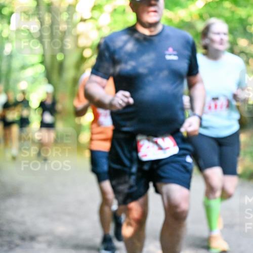 28.09.2025 - 33. Volkslauf durch das schöne Alstertal Dr. Thomas Lammeyer http://msf.ph/oto/8955709 28.09.2025 10:42:24 Laufen  meine-sportfotos.de