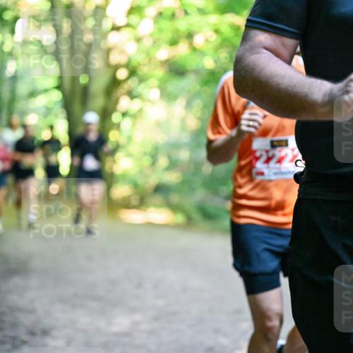 28.09.2025 - 33. Volkslauf durch das schöne Alstertal Dr. Thomas Lammeyer http://msf.ph/oto/8955712 28.09.2025 10:42:24 Laufen 25 meine-sportfotos.de