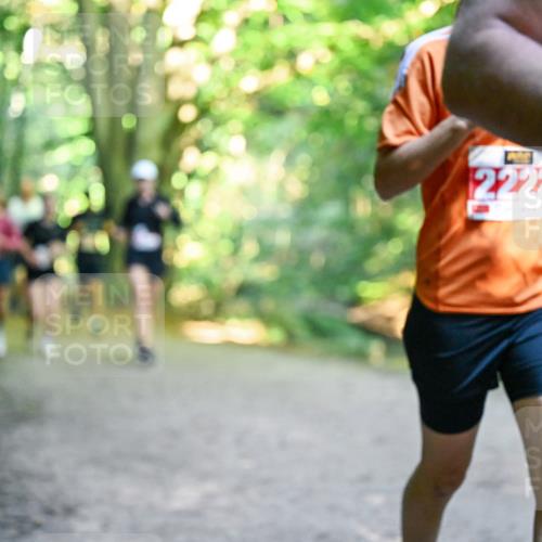 28.09.2025 - 33. Volkslauf durch das schöne Alstertal Dr. Thomas Lammeyer http://msf.ph/oto/8955713 28.09.2025 10:42:25 Laufen 2222 meine-sportfotos.de