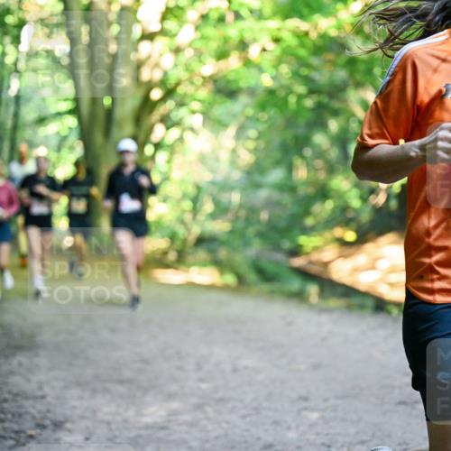 28.09.2025 - 33. Volkslauf durch das schöne Alstertal Dr. Thomas Lammeyer http://msf.ph/oto/8955714 28.09.2025 10:42:25 Laufen 2222 meine-sportfotos.de