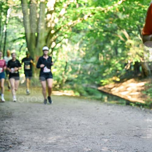 28.09.2025 - 33. Volkslauf durch das schöne Alstertal Dr. Thomas Lammeyer http://msf.ph/oto/8955715 28.09.2025 10:42:25 Laufen 222 meine-sportfotos.de