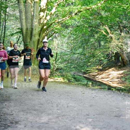28.09.2025 - 33. Volkslauf durch das schöne Alstertal Dr. Thomas Lammeyer http://msf.ph/oto/8955716 28.09.2025 10:42:25 Laufen 240, 2571, 2317 meine-sportfotos.de