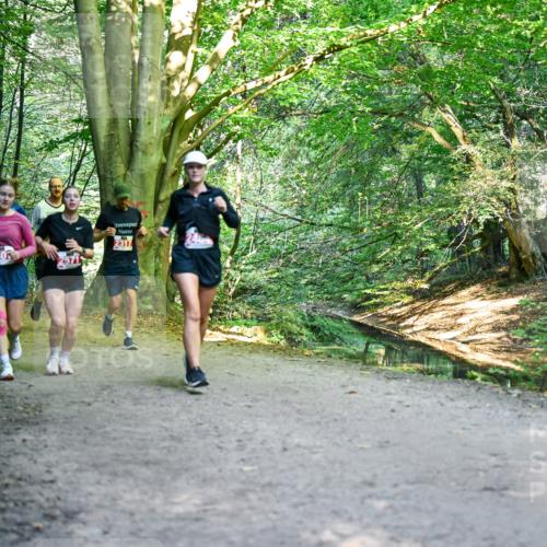 28.09.2025 - 33. Volkslauf durch das schöne Alstertal Dr. Thomas Lammeyer http://msf.ph/oto/8955718 28.09.2025 10:42:25 Laufen 2283, 240, 2317 meine-sportfotos.de