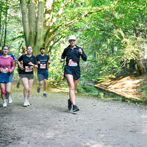 28.09.2025 - 33. Volkslauf durch das schöne Alstertal Dr. Thomas Lammeyer http://msf.ph/oto/8955721 28.09.2025 10:42:26 Laufen 2464, 2317, 2401, 2571 meine-sportfotos.de