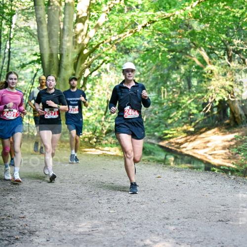 28.09.2025 - 33. Volkslauf durch das schöne Alstertal Dr. Thomas Lammeyer http://msf.ph/oto/8955722 28.09.2025 10:42:26 Laufen 2317, 2401, 2571, 2464 meine-sportfotos.de