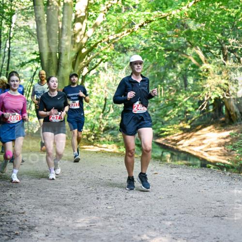 28.09.2025 - 33. Volkslauf durch das schöne Alstertal Dr. Thomas Lammeyer http://msf.ph/oto/8955723 28.09.2025 10:42:26 Laufen 2401, 12571, 2317, 2464 meine-sportfotos.de