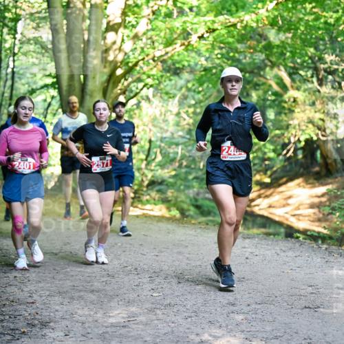 28.09.2025 - 33. Volkslauf durch das schöne Alstertal Dr. Thomas Lammeyer http://msf.ph/oto/8955726 28.09.2025 10:42:27 Laufen 2401, 2571, 246 meine-sportfotos.de