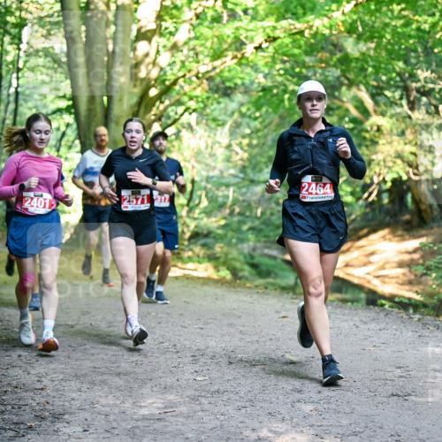28.09.2025 - 33. Volkslauf durch das schöne Alstertal Dr. Thomas Lammeyer http://msf.ph/oto/8955727 28.09.2025 10:42:27 Laufen 2401, 2571, 37, 2464 meine-sportfotos.de