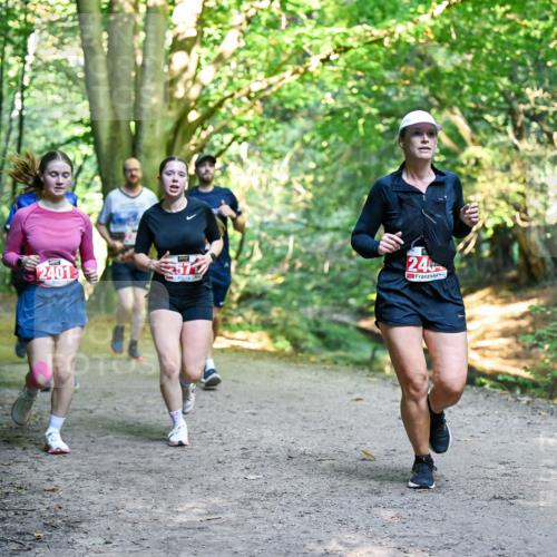 28.09.2025 - 33. Volkslauf durch das schöne Alstertal Dr. Thomas Lammeyer http://msf.ph/oto/8955729 28.09.2025 10:42:27 Laufen 2401, 246 meine-sportfotos.de