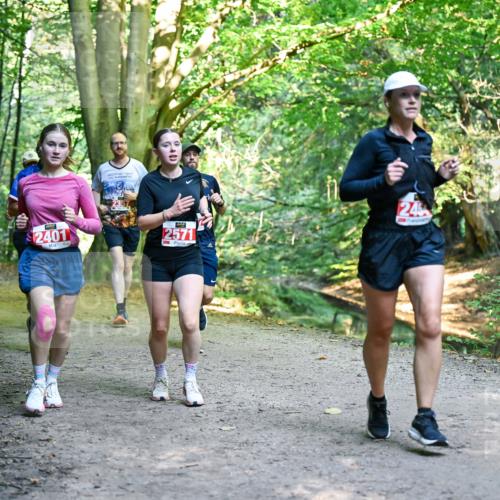 28.09.2025 - 33. Volkslauf durch das schöne Alstertal Dr. Thomas Lammeyer http://msf.ph/oto/8955730 28.09.2025 10:42:27 Laufen 2401, 2571 meine-sportfotos.de