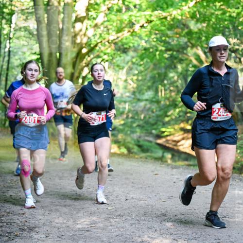 28.09.2025 - 33. Volkslauf durch das schöne Alstertal Dr. Thomas Lammeyer http://msf.ph/oto/8955731 28.09.2025 10:42:27 Laufen 2401, 2464 meine-sportfotos.de