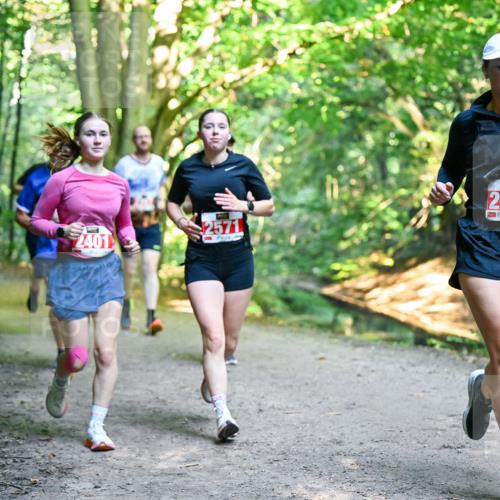28.09.2025 - 33. Volkslauf durch das schöne Alstertal Dr. Thomas Lammeyer http://msf.ph/oto/8955733 28.09.2025 10:42:28 Laufen 2401, 2571, 2464 meine-sportfotos.de