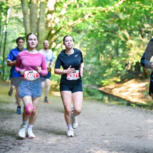 28.09.2025 - 33. Volkslauf durch das schöne Alstertal Dr. Thomas Lammeyer http://msf.ph/oto/8955734 28.09.2025 10:42:28 Laufen 2401, 2571, 246 meine-sportfotos.de