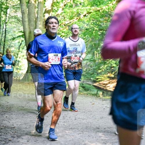 28.09.2025 - 33. Volkslauf durch das schöne Alstertal Dr. Thomas Lammeyer http://msf.ph/oto/8955745 28.09.2025 10:42:30 Laufen 2283, 2567, 2357, 2401 meine-sportfotos.de